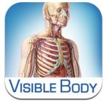 visible-body-icon